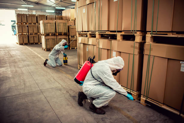 Best Cockroach Control Services  in Weatherford, OK