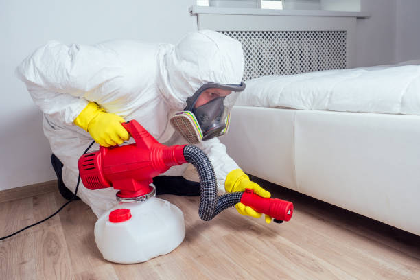 Best Local Pest Control Services  in Weatherford, OK