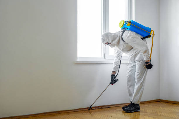 Best Best Pest Control Companies  in Weatherford, OK