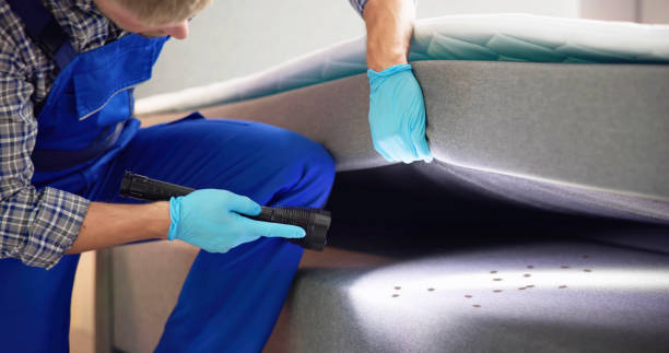 Best Mosquito Control Services  in Weatherford, OK