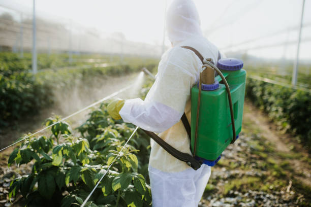 Best Pest Prevention Services  in Weatherford, OK